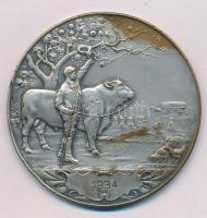 Ausztria 1934. "Dem Fortschritte - Die Niederösterreiches Landes-Landwirtschaftskammer (A haladásért - Alsó-Ausztriai Állami Mezőgazdasági Kamara)" kétoldalas, ezüstözött bronz érdemérem, hátoldalán "1934" gravírozással (55mm) T:XF kopott ezüstözés Austria 1934. "Dem Fortschritte - Die Niederösterreiches Landes-Landwirtschaftskammer" double-sided, silvered bronze medal, with "1934" engrave on the back (55mm) C:XF worn silvering