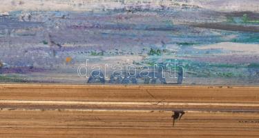 Arató István (1922-2010): Este a Duna felett. Olaj, farost, jelzett, hátoldalán autográf felirattal ...