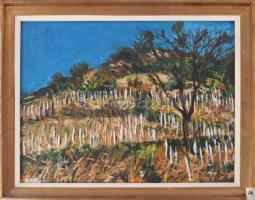 Arató István (1922-2010): "Weinberg" (Szent György-hegyi szőlők). Olaj, farost, jelzett, hátoldalán autográf felirattal. Dekoratív, kissé kopott fakeretben, 40×50 cm.