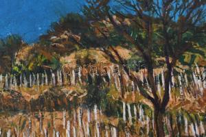 Arató István (1922-2010): "Weinberg" (Szent György-hegyi szőlők). Olaj, farost, jelzett, h...