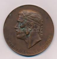 Ausztria 1954. "Olimpiai játékok 60. évfordulója" "CITIVS ALTIVS FORTIVS / 1894 -1954 OLYMPISCHE FESTWOCHEN 14 BIS 27 JUNI IM 3 JAHR DER XV OLYMPIADE" kétoldalas bronz emlékérem (60mm) Szign.: R.Schmidt T:AU patina Austria 1954. "60th anniversary of the Olympic Games" "CITIVS ALTIVS FORTIVS / 1894 -1954 OLYMPISCHE FESTWOCHEN 14 BIS 27 JUNI IM 3 JAHR DER XV OLYMPIADE" double-sided bronze medal (60mm) Sign.:R.Schmidt C:AU patina