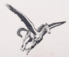 Kiss Gusztáv (1949-): Pegazus. Nyomat, papír. Jelzett. Számozott (25/23), üvegezett fakeretben, 32×2...