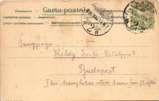 1906 Kassa, Kosice; Dóm és Orbán torony. Nyulászi Béla kiadása, szecessziós-virágos litho keret / ca...