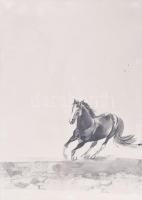 Jelzés nélkül: Ló. Tus, papír, üvegezett fakeretben. 42,5x30 cm.