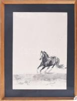 Jelzés nélkül: Ló. Tus, papír, üvegezett fakeretben. 42,5x30 cm
