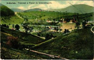 1917 Stájerlak, Steierlak, Stájerlakanina, Steierdorf, Anina; Tekintet a Panur és homokhegyre, gyár. Scheitzner Ig. kiadása / general view with mountain and factory (r)