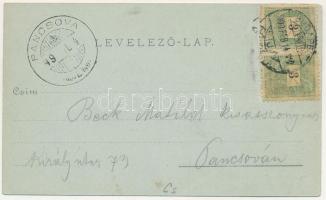 1899 Arad, Vértanú szobor, színház épület, Fő tér este holdfényben. Lengyel Lipót kiadása / martyrs ...