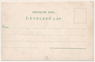 Arad, Andrássy tér, Maros part, Városháza, Lyceum, Színház. Ferd. Pialek / square, riverside, town h...