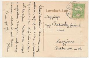 1915 Élesd, Alesd; Erzsébet szálloda, Jakabfi Lipót üzlete és saját kiadása / hotel, publisher'...