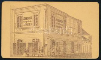 cca 1870 Női portré, keményhátú fotó Joanovits István verseci műterméből, hátoldalon a műterem képév...