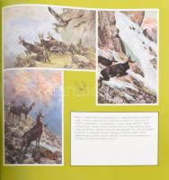 Tomai Éva, Zoltán János: Vadászat régi képeslapokon. Budapest, 1988. Officina Nova. Kiadói kartonált...