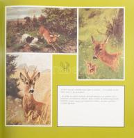 Tomai Éva, Zoltán János: Vadászat régi képeslapokon. Budapest, 1988. Officina Nova. Kiadói kartonált...