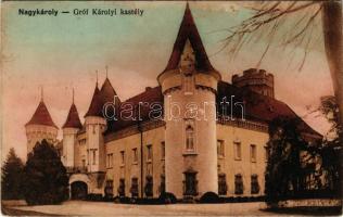 1930 Nagykároly, Carei; Gróf Károlyi kastély. Vasúti levelezőlapárusítás 4838. / castle (felületi sérülés / surface damage)