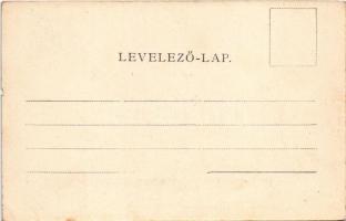 1910 Vajdahunyad, Hunedoara; M. kir. vasgyár, iparvasút. Schäser F. fénynyomdai műintézete / ironwor...