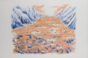 Szilárd Klára (Claire Szilard, 1921-2017): A sivatag (grafikai mappa 12 lappal). Szitanyomat, papír,...