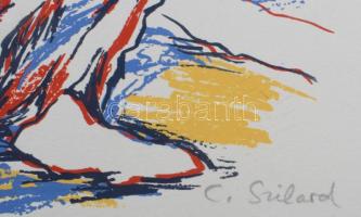 Szilárd Klára (Claire Szilard, 1921-2017): A sivatag (grafikai mappa 12 lappal). Szitanyomat, papír,...