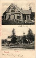 1903 Borszék, Borsec; Villa Bellevue. Heiter György fényképész kiadása / villa