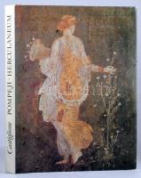 Castiglione László: Pompeji, Herculaneum. A Vezúv kitörésének ezerkilencszázadik évfordulójára. Sugár Lajos felvételeivel. Bp., 1979, Gondolat-Magyar Helikon, 282+6 p. Rendkívül gazdag képanyaggal illusztrált. Kiadói egészvászon-kötés, kiadói papír védőborítóban.