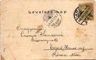 1904 Arad, Szabadság tér nyugoti (nyugati) oldala, Dobránszky sörcsarnoka, áruház, Arad Ipar- és Nép...