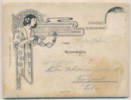 Temesvár, Timisoara; Leporellolap 9 lappal (18 kép), közte laktanya, vágóhíd. Szecessziós hölgy kerettel. Polatsek kiadása / leporello postcard booklet with 9 cards (18 images), military barracks, slaughterhouse. Art Nouveau frame with lady (b)