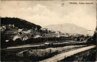 1906 Predeál, Predeal; Vedere Generala / látkép, vasútvonal, gőzmozdony. Ad. Maier &amp; D. Stern kiadása / view, railway line, locomotive (szakadás / tear)