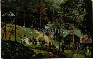 1909 Sinaia, forest (glue marks)