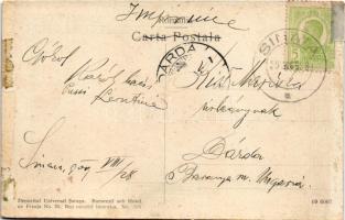 1909 Sinaia, forest (glue marks)