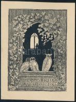 Novotny R jelzéssel: Ex libris Doctoris Ludovici Schilling, klisé, papír. 12x8,5 cm