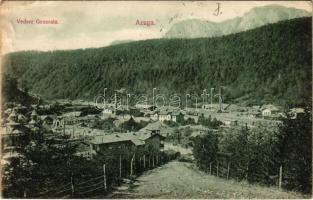 1906 Azuga, Vedere generala. Rhein &amp; Co. / general view (Rb)