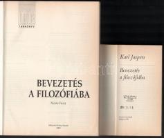 Maria Fürst: Bevezetés a filozófiába. Ford.: Csikós Ella. Szerk.: Láng Rózsa. Matúra. Bp., 2000, Műs...