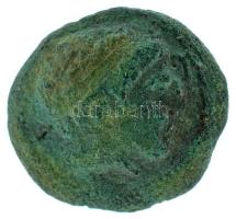 Makedónia Kr.e. 359-336 / II. Philipposz / bronz érme (3,77g) T:VF patina Macedonia / Philip II 359-336 BC bronze coin "FILIPPOU" Apollo's head / horse to right (3,77g) C:VF patina