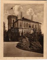 Nagyszentmiklós, Sannicolau Mare; Gróf Nákó kastély / castle (vágott / cut)