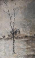 Olvashatatlan jelzéssel: Téli táj. Olaj, vászon. 45×60 cm. Dekoratív fakeretben