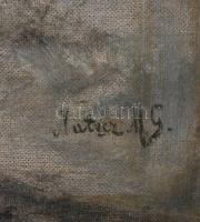 Olvashatatlan jelzéssel: Téli táj. Olaj, vászon. 45×60 cm. Dekoratív fakeretben