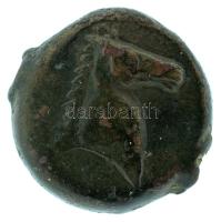 Karthágó Kr.e. 350-200 AE18 bronz érme (6,67g) T:VF Carthago 350-200 BC AE18 bronze coin, palm tree / horse head right (6,67g) C:VF