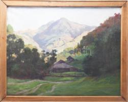 D. Némethy Miklós (1880-?): Erdélyi táj. Olaj, vászon. Jelezve balra lent. Laza léckereten. 56x70 cm