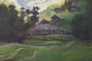 D. Némethy Miklós (1880-?): Erdélyi táj. Olaj, vászon. Jelezve balra lent. Laza léckereten. 56x70 cm