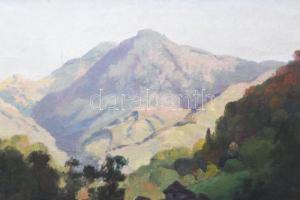 D. Némethy Miklós (1880-?): Erdélyi táj. Olaj, vászon. Jelezve balra lent. Laza léckereten. 56x70 cm