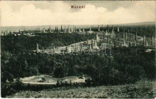 Moreni, oil plant, oil fields, drilling towers. Ioan Dragu (EB)