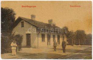Sárd-Magyarigen, Sard-Ighiu; vasútállomás. W.L. 3169. / railway station (r)