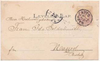 1897 Nagyenyed, Aiud; Városháza, Leányiskola, Bethlen Collegium. Wokál kiadása, szecessziós-virágos ...