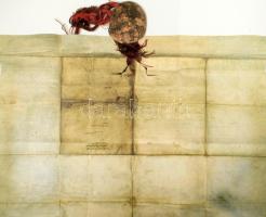 Középkori oklevél facsimile másolata, színes nyomat, 52,5x64 cm