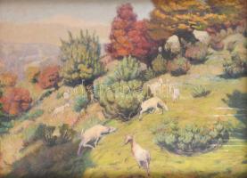 D. Némethy Miklós (1880-?): Kisded születése (Háromkirályok), 1935. Olaj, vászon. Jelezve jobbra len...