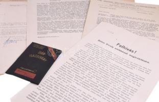 ca 1920-1945 Bőhm László rendező irat hagyatéka, benne Nemezeti Zenedei bizonyítványa Siklós Albert ...