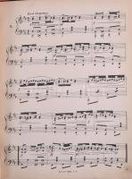 ca 1890 Legkedveltebb csárdás táncok gyűjteménye. Kottafüzet dekoratív litho címlappal, egészvászon ...