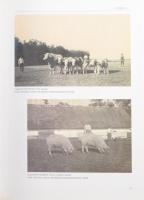 Sághy Gyula: Kulák Golgota. Hunyad., 2012, Hunyad Kiadó. Kiadói kartonált papírkötés. Számozott (032...