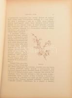 Szana Tamás: Magyar művészek. Műtörténelmi vázlatok képekkel. Bp., 1889, Hornyánszky, 251+2 p.+16 t....