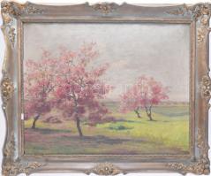 Miklós bácsi (?) jelzéssel (D. Némethy Miklós?), XX. sz. első fele: Táj virágzó fákkal. Olaj, vászon. Dekoratív, kissé sérült fakeretben. 40x50 cm