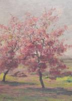 Miklós bácsi (?) jelzéssel (D. Némethy Miklós?), XX. sz. első fele: Táj virágzó fákkal. Olaj, vászon...