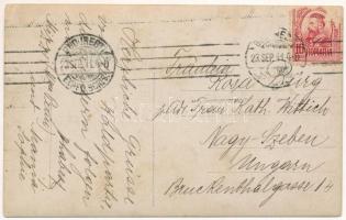 1911 Kőhalom, Reps, Rupea, Cohalm; kirándulók, vár a háttérben / tourists, castle in the background....